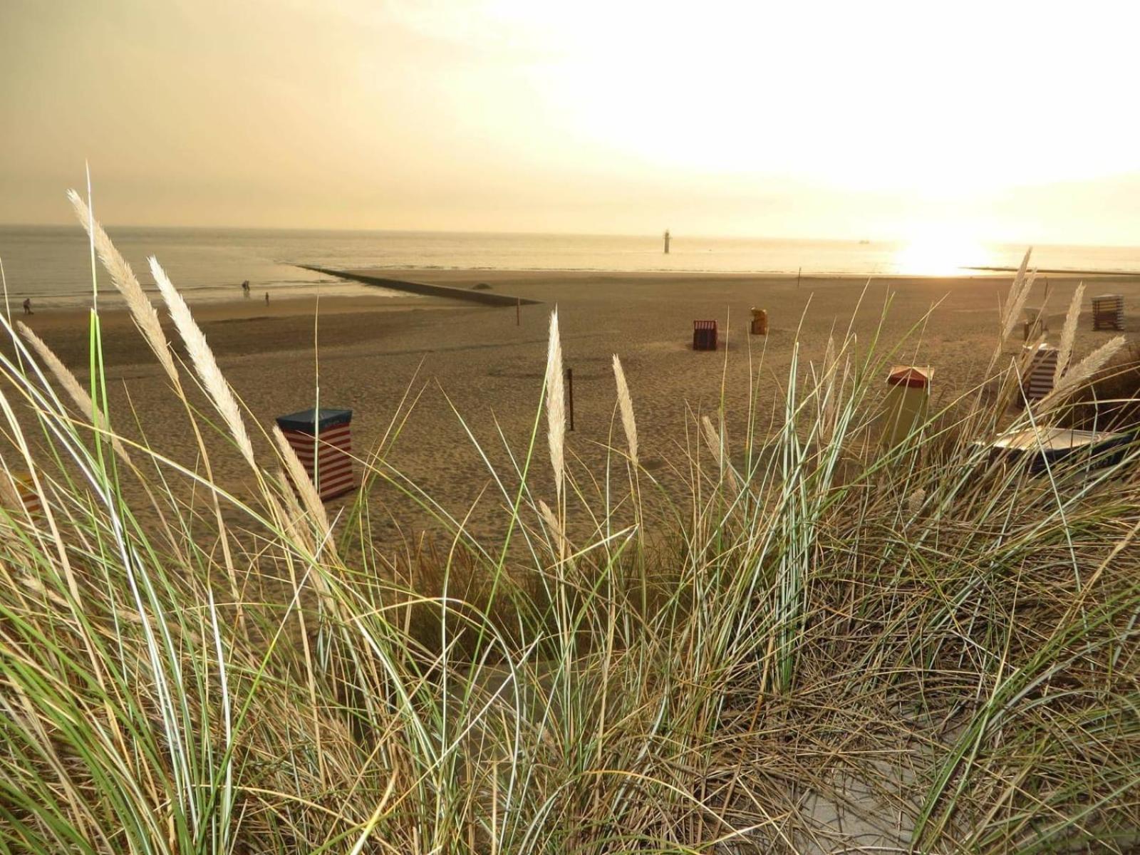Villa Daheim Borkum Exteriér fotografie